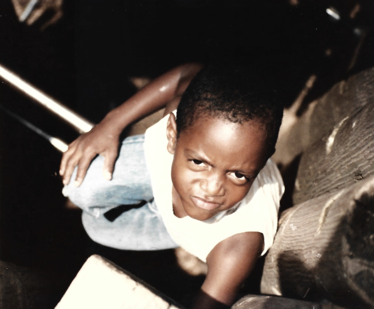 segemented_by_industry